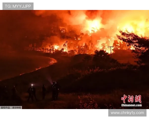 分析开云体育娱乐官网与勒沃库森合作的背后商业逻辑及未来合作潜力
